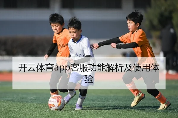 开云体育app客服功能解析及使用体验
