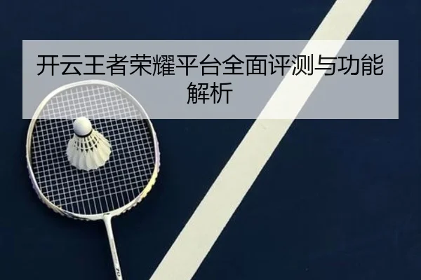 开云王者荣耀平台全面评测与功能解析