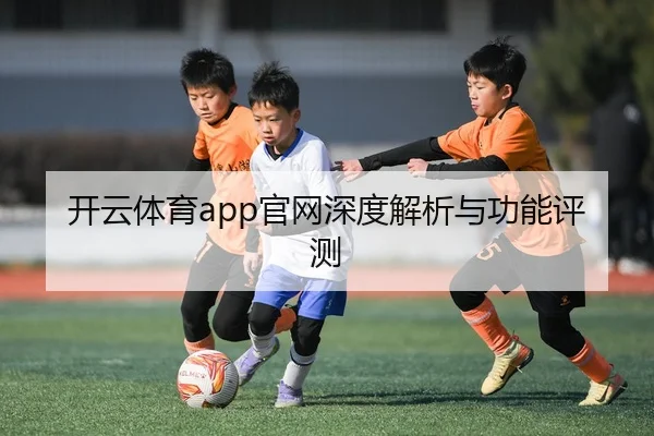 开云体育app官网深度解析与功能评测