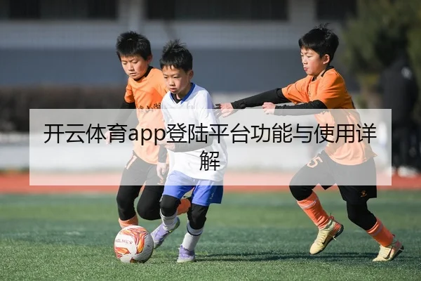 开云体育app登陆平台功能与使用详解