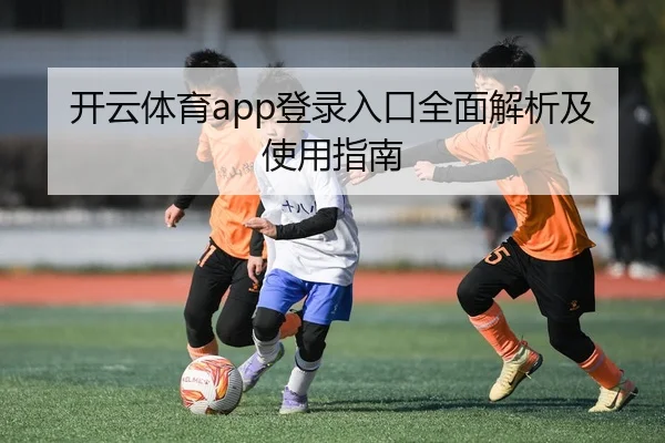 开云体育app登录入口全面解析及使用指南